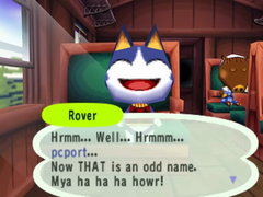 Uno screenshot del gameplay della versione PC di Animal Crossing