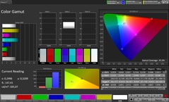 Spazio colore CalMAN sRGB