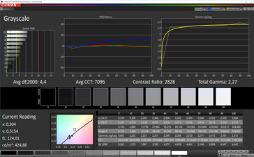 CalMAN: Scala di grigi – Spazio colore target DCI P3, profilo cromatico a contrasto maggiorato