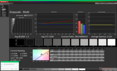 Scala di grigi prima della calibrazione (P3)