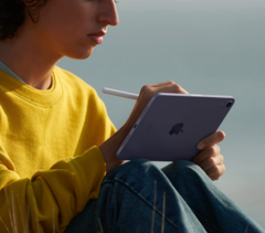 Alcuni proprietari di iPad mini 6 si stanno lamentando della distorsione e dello scolorimento del display. (Immagine: Apple)