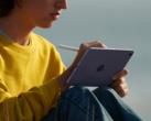 Alcuni proprietari di iPad mini 6 si stanno lamentando della distorsione e dello scolorimento del display. (Immagine: Apple)