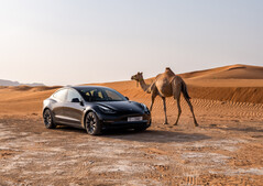 Il design della Model 3 è stantio e il vantaggio tecnologico dell'azienda sta scivolando rapidamente (fonte: Tesla)