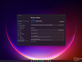 Il programma Windows 11 Insider Preview deve ancora raggiungere il canale Release Preview. (Fonte immagine: Microsoft) 