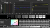 CalMAN: Grayscale (calibrato)