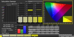 CalMAN: saturazione del colore (calibrata)