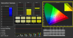 Saturazione CalMAN calibrata (spazio colore di riferimento sRGB)