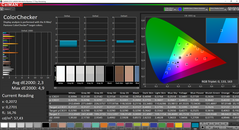 CalMAN ColorChecker (dopo la calibrazione)