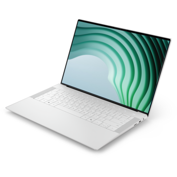 Variante di colore Dell 14 Premium Platinum (fonte: Dell)