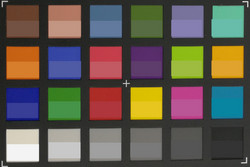 ColorChecker Passport: I colori target sono nella metà inferiore di ogni quadrato.