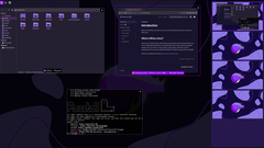 Rhino Linux 2026.1 offre il supporto di Lomiri su desktop e mobile