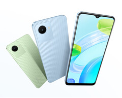 Il Realme C30 è disponibile nei colori Bamboo Green e Lake Blue. (Fonte: Realme)