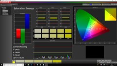 CalMAN: Saturation Sweeps (calibrato)