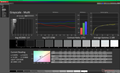 Scala di grigi dopo la calibrazione
