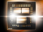 Il Ryzen 5 5600X riserva belle sorprese. (Fonte immagine: AMD)