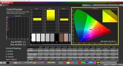 CalMAN ColorChecker (profilo: calibrato, spazio colore di destinazione: P3)
