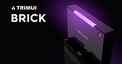 Il mattone TrimUI ha debuttato per la prima volta l'anno scorso. (Fonte: TrimUI)