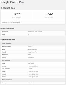 Pixel 6 Pro. (Fonte: Geekbench)