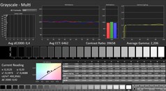 CalMAN: scala di grigi, calibrata