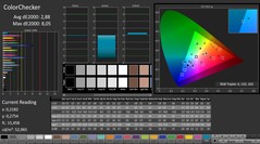 CalMAN: ColorChecker (calibrato)