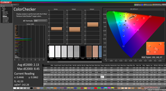 ColorChecker (contro AdobeRGB)