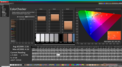 ColorChecker prima della calibrazione (P3)