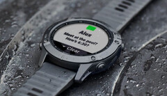 Nelle ultime settimane Garmin ha rallentato la velocità di rilascio degli aggiornamenti beta per la serie Fenix 6. (Fonte: Garmin)