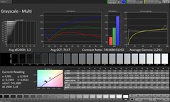 Scala di grigi (modalità colore: Naturale, spazio colore di destinazione: sRGB)