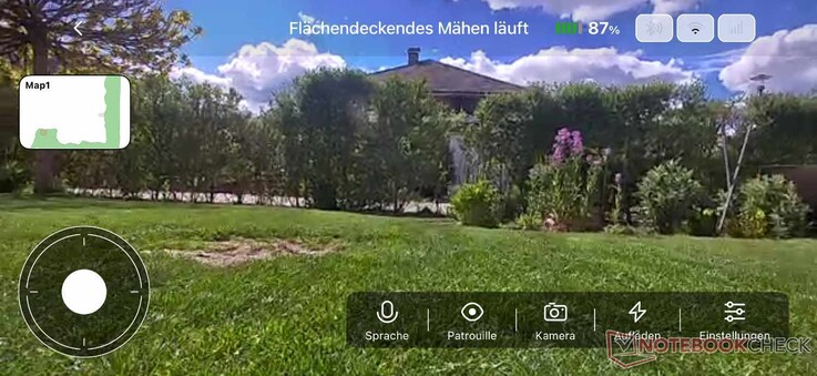 Video in diretta dal giardino