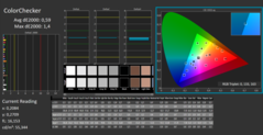 CalMAN - Color Checker (calibrato)