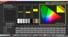 CalMAN ColorChecker calibrato (profilo TrueColor: Display-P3)