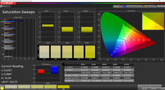 CalMAN saturazione calibrato