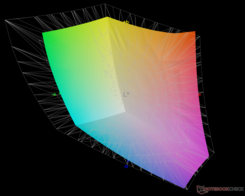 rispetto ad Adobe RGB - 74,4% di copertura