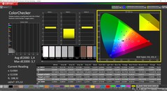 CalMAN ColorChecker (profilo: P3, spazio colore di destinazione P3)