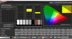 CalMAN ColorChecker calibrato