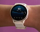 Lo smartwatch vivoactive 6 di Garmin (nella foto) riceve la funzione Health Status in versione beta. (Fonte: Garmin)
