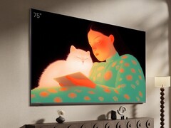 Il televisore Hisense Vidda Wallpaper (nella foto) è ora disponibile in Cina. (Fonte: Hisense)