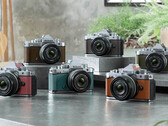La fotocamera mirrorless full-frame Nikon Z f è ora disponibile in sei varianti di colore argento. (Fonte: Nikon)