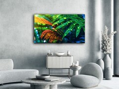 Il televisore MG7C15 di Thomson (nella foto) è arrivato in Europa. (Fonte: Thomson)