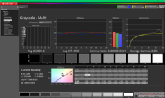 Scala di grigi dopo la calibrazione