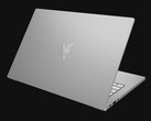 Recensione del Laptop Razer Blade Stealth i7-1065G7 Iris Plus: l'economica GeForce MX150 è più veloce