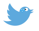 Twitter ha perso 3/4 della forza lavoro dall'ottobre 2022 (Fonte: logo Twitter con modifiche)