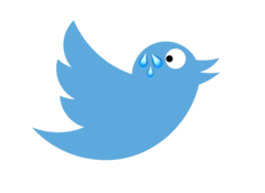 Twitter ha perso 3/4 della forza lavoro dall&#039;ottobre 2022 (Fonte: logo Twitter con modifiche)