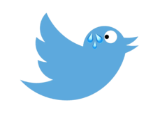 Twitter ha perso 3/4 della forza lavoro dall'ottobre 2022 (Fonte: logo Twitter con modifiche)