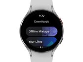 Google continua a perdere colpi con Wear OS. (Fonte: Google)