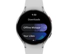 Google continua a perdere colpi con Wear OS. (Fonte: Google)