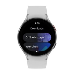 Google continua a perdere colpi con Wear OS. (Fonte: Google)