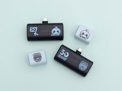 Accessori Anker per il 30° Anniversario della Kawasaki Frontale