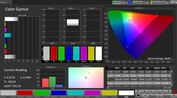 Spazio colore CalMAN sRGB - visualizzazione interna