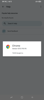 Chrome 137 è preinstallato. (Fonte: Sergey Tarasov - Notebookcheck)